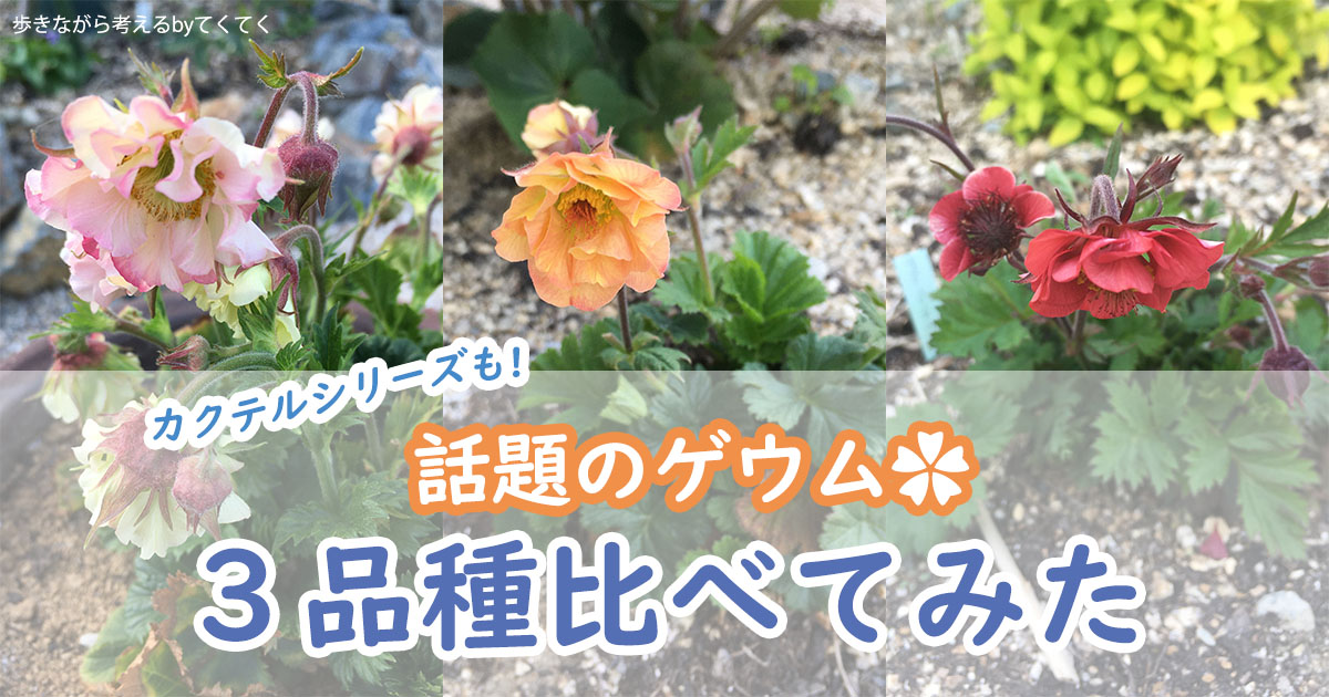 話題のゲウムマイタイ カクテルシリーズを含む３品種を比べてみた 歩きながら考える
